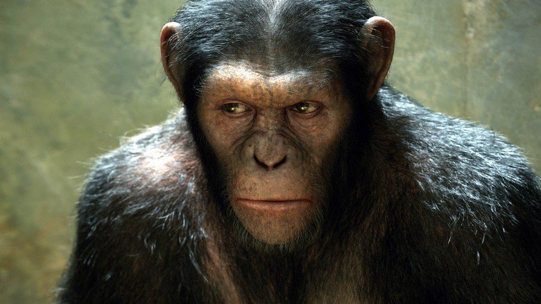  Todas las películas de “El planeta de los simios” rankeadas de la peor a la mejor