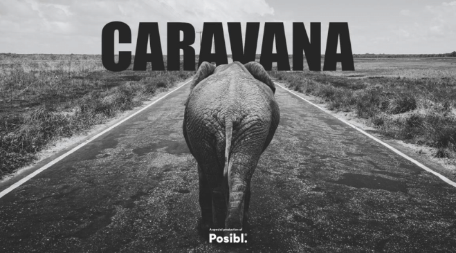 “Caravana”, el documental que busca liberar a 40 elefantes que viven en cautiverio
